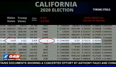 Evidence of illegal fractional voting used in the 2020 Election