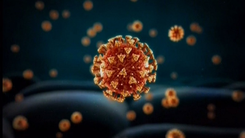 SARS Cov-2 Corona Virus Closeup
