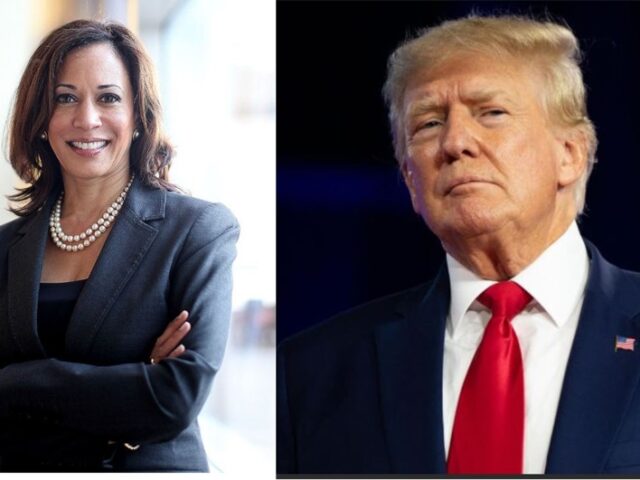 Kamala vs Trump – a pre-election retrospective